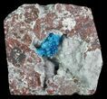 Vibrant Blue Cavansite Clusters on Stilbite - India #67796-1